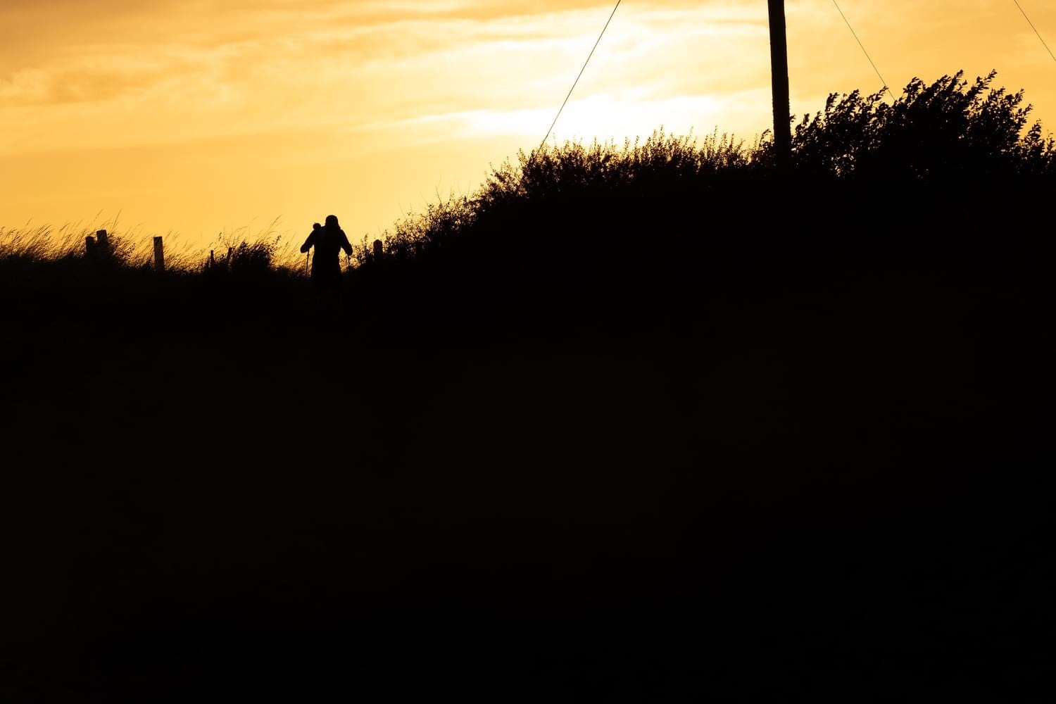Lessons from Night Running: Conquering the Dark Miles in Ultras
