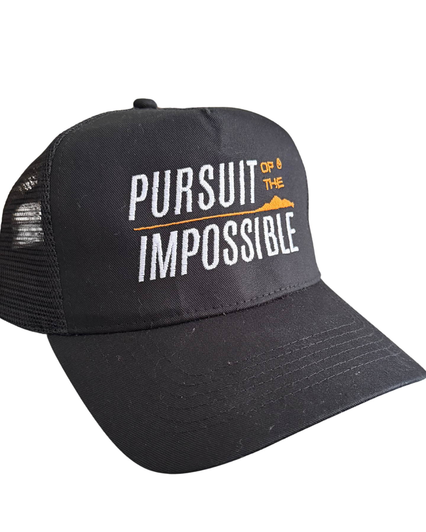 Pursuit of the Impossible